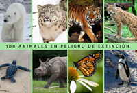 Animais en perigo de extinción